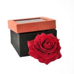Grehom Decorative Rose Large - Red